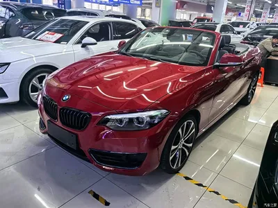 2019 BMW 2 Series (Import) 225i Convertible Coupe Sport Design Package, фото 2, лот 10471420