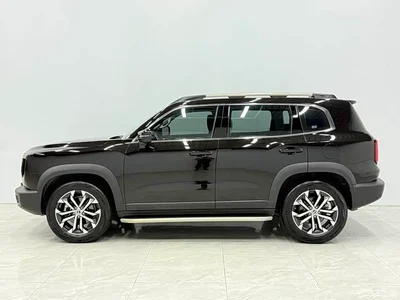 2021 Haval Big Dog 1.5T DCT 2WD Border Collie Edition, фото 2, лот 10404286