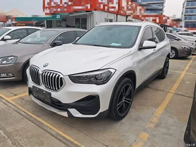 2020 BMW X1 sDrive20Li Fashion Model, фото 1, лот 10467293
