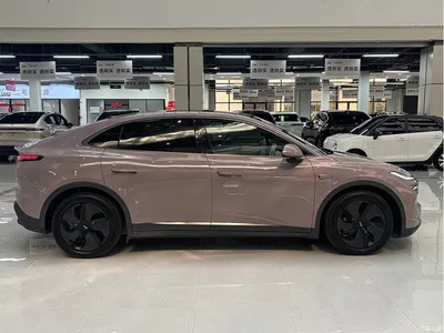 2024 Ledao L60 60kWh Rear-Wheel Drive, фото 4, лот 10826595