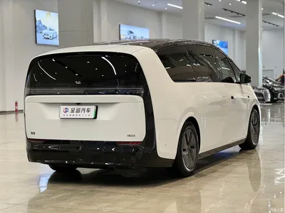 2025 Li Auto MEGA Model Home Family Special Edition, фото 4, лот 10446436