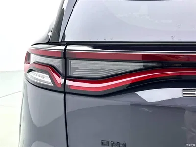 2021 BYD Tang New Energy DM-i 112KM Honor, фото 3, лот 10274762
