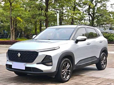 2020 Baojun RS-3 1.5L CVT 24-hour Online Elite Model, фото 1, лот 10406294