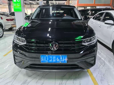 2024 Volkswagen Tiguan L Outstanding 300TSI Auto 2WD Dragon Soaring Edition, фото 2, лот 10461016
