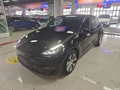 2022 Tesla Model Y Facelift Long Range All-Wheel Drive Version, фото 1, лот 10374123