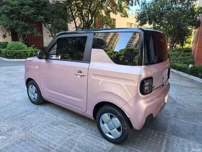 2023 Geely Galaxy Panda Mini 200km Endurance Bear, фото 4, лот 10432311