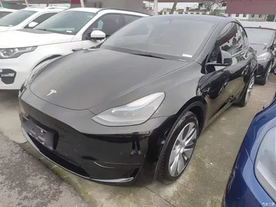 2022 Tesla Model Y Rear-Wheel Drive Version, фото 2, лот 11006650