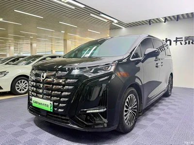 2024 Denza D9 DM-i 1050 Premium, фото 1, лот 11242879