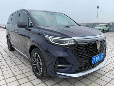2021 Roewe iMAX8 400TGI Supreme Series Ultimate Edition, фото 3, лот 11218373