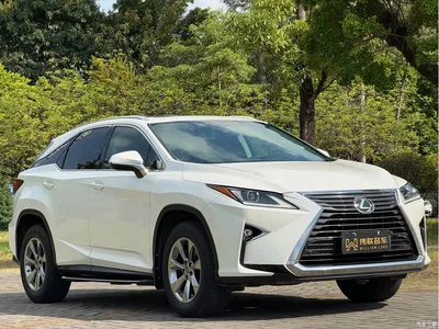 2016 Lexus RX 300 2WD Elite Edition (China V), фото 3, лот 11535938