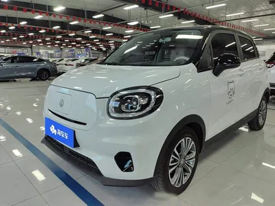 2024 Leapmotor T03 310 Comfort Edition, фото 1, лот 11205534