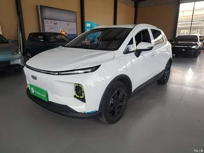 2023 Geely E Firefly 320KM Cute Tiger 5-seater, фото 1, лот 11155758