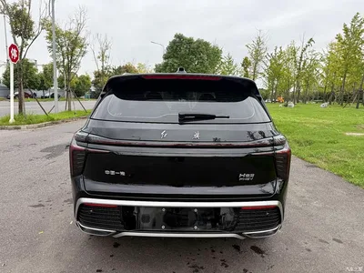2025 Hongqi HS3 PHEV PHEV 115km Power Edition, фото 4, лот 11528784