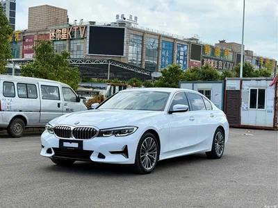 2020 BMW 3 Series 325Li Launch Edition, фото 1, лот 10674825