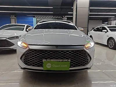 2021 BYD Qin PLUS DM-i 120KM Premium, фото 3, лот 11565716