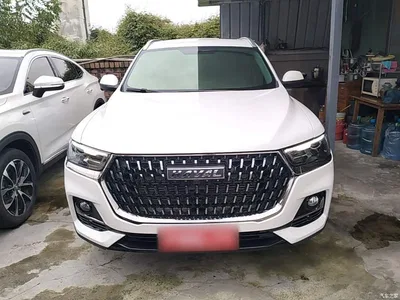 2023 Haval H6 National Trend Edition 1.5T Automatic Urban, фото 3, лот 11518431