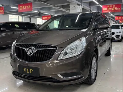 2017 Buick GL8 25S Premium Model China V, фото 1, лот 11193389