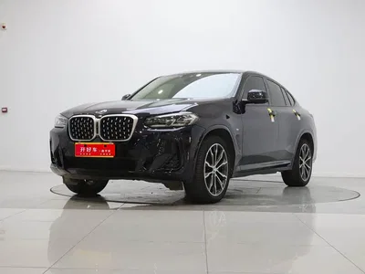 2022 BMW X4 xDrive 30i M Sport Package, фото 1, лот 10419528