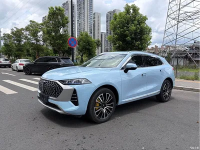 2021 WEY Mocha 2.0T 4WD Premium Edition, фото 1, лот 11415274