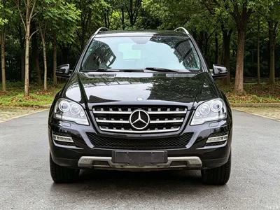 2010 Mercedes-Benz M-Class ML 350 4MATIC Luxury, фото 2, лот 10879740