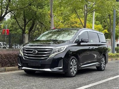2020 GAC Trumpchi Trumpchi M8 Pilot 390T Ultimate Edition, фото 1, лот 11386436