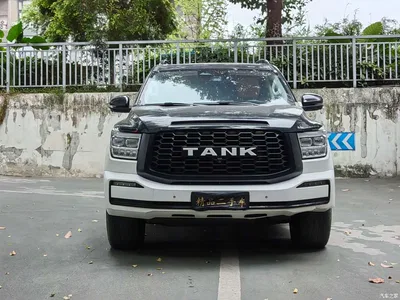 2022 Tank 500 3.0T Business Edition Zaojing 5-Seater, фото 2, лот 11548258