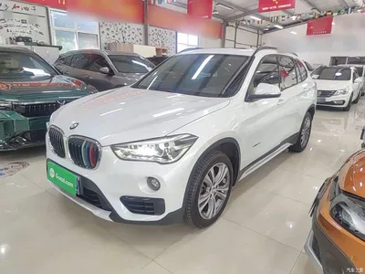 2018 BMW X1 sDrive18Li Premium Model, фото 1, лот 10467721