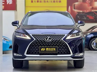2020 Lexus RX 300 2WD Elite Edition China VI, фото 2, лот 10312709