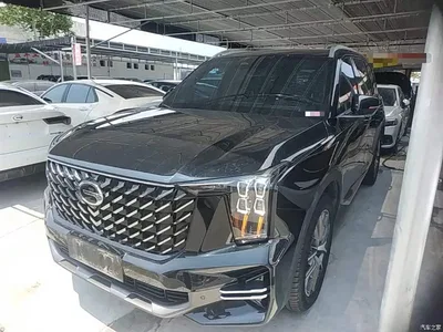 2024 GAC Trumpchi Trumpchi GS8 Navigator Series 2.0TGDI 2WD Luxury Smart Connect Edition, фото 1, лот 10425171