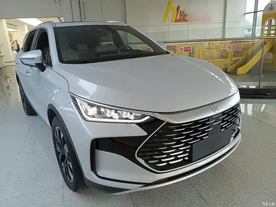 2024 BYD Tang New Energy DM-p Glory Edition 215KM AWD Premium, фото 4, лот 10838554