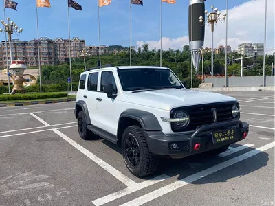 2021 Tank 300 Off-road Edition 2.0T Explorer, фото 2, лот 10356917