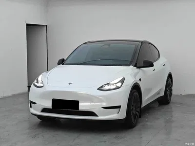 2022 Tesla Model Y Facelift Rear-Wheel Drive Version, фото 1, лот 10452109