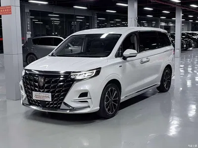 2023 Roewe iMAX8 400TGI Comfort Edition, фото 3, лот 10449264