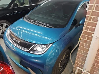 2021 BYD Dolphin Model 405km Fashion Edition, фото 2, лот 11545444