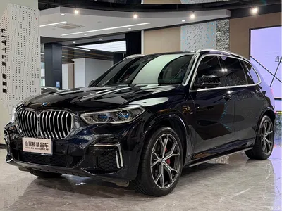 2022 BMW X5 Facelift xDrive 40Li M Sport Package, фото 1, лот 10411161