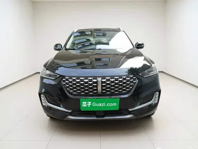 2021 WEY VV6 2.0T 4WD Intelligent Drive+, фото 2, лот 11242989