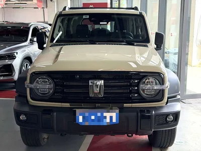 2025 Tank 300 2.0T Challenger, фото 2, лот 10344979