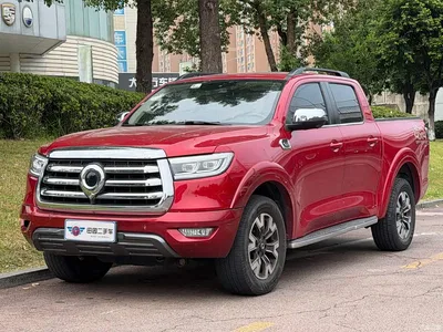2021 Great Wall Pao 2.0T Passenger Global Edition Automatic Gasoline 4WD Sport Standard Box GW4C20B, фото 1, лот 10246360