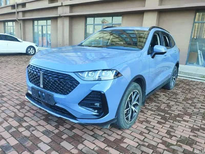2022 WEY Latte DHT-PHEV 1.5T 2WD Extra Large Cup, фото 1, лот 11545298