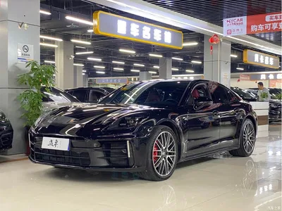 2024 Porsche Panamera 2.9T, фото 1, лот 11533932