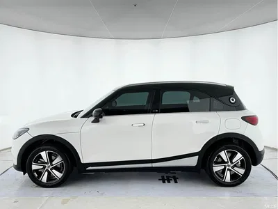 2024 smart Elf #1 Agile Standard Edition, фото 3, лот 10593816