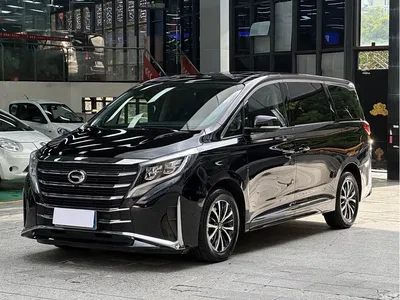 2023 GAC Trumpchi Trumpchi M8 Leading Series 390T Premium Edition, фото 1, лот 11566021