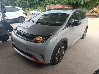 2021 BYD Dolphin Model 405km Fashion Edition, фото 2, лот 10260296