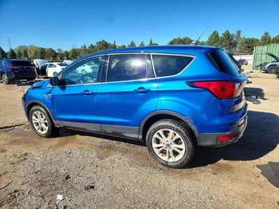 2019 FORD ESCAPE SE, фото 2, лот 11562248