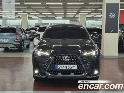 2025 Lexus NX 350h Premium, фото 3, лот 10033637