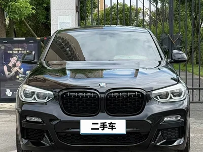 2019 BMW X4 xDrive25i M Sport Package, фото 2, лот 10476974