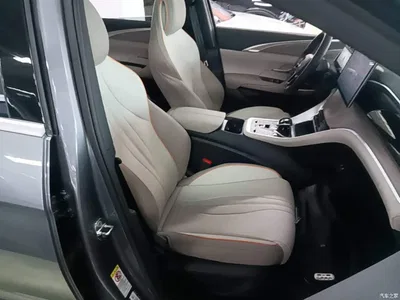 2024 BYD Song Pro New Energy Glory Edition DM-i 110KM Surpassing, фото 4, лот 10276803