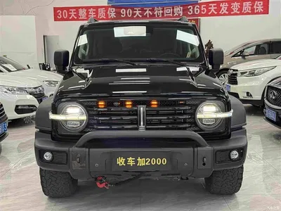 2021 Tank 300 Off-road Version 2.0T Conqueror, фото 2, лот 11097802
