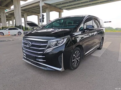 2023 GAC Trumpchi Trumpchi M8 Leading Series 390T Premium Edition, фото 1, лот 11249411