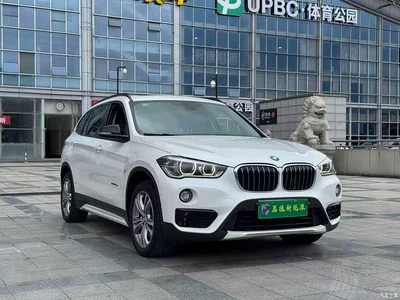 2018 BMW X1 New Energy xDrive25Le Luxury Model, фото 3, лот 10420103